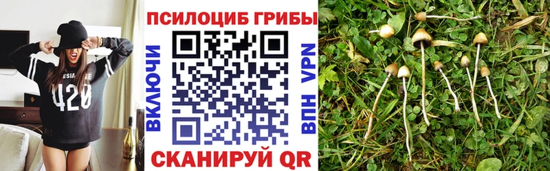 Псилоцибиновые грибы Magic Shrooms Гаврилов-Ям