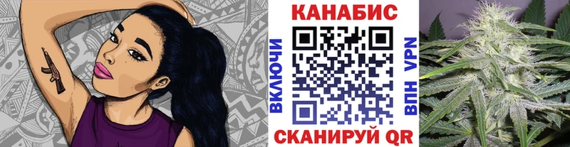 Бошки Шишки планчик Гаврилов-Ям